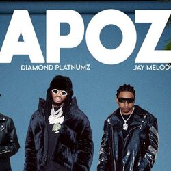 Cover of Mapoz