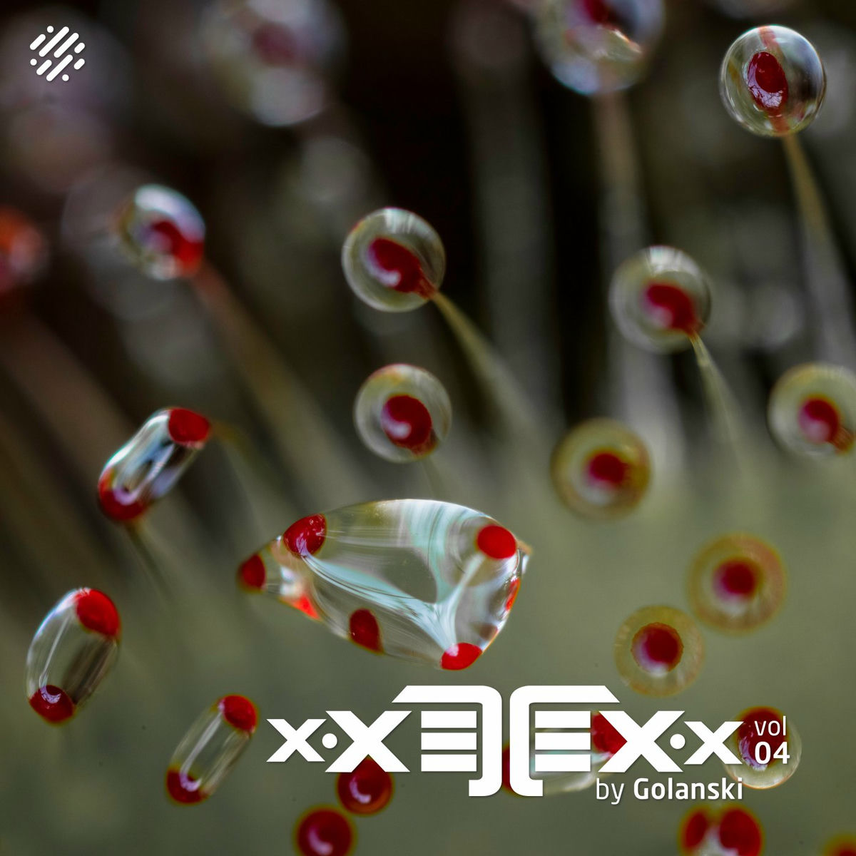 Album cover of xXETEXx, Vol. 04