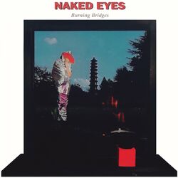 Cover of Burning Bridges