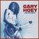 Misirlou by Gary Hoey album cover