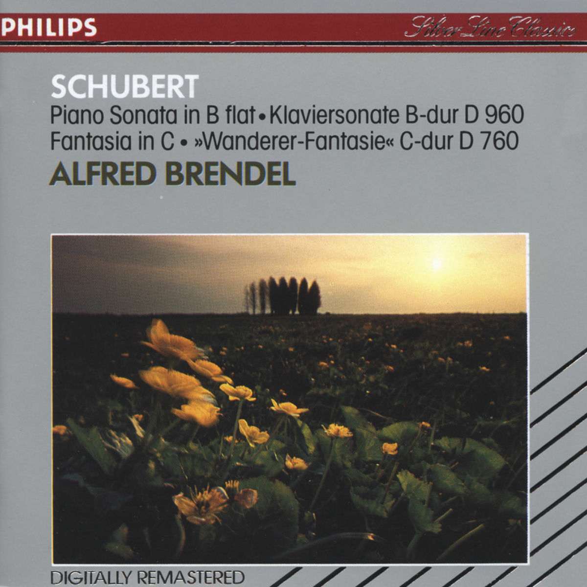 Album cover of Schubert: Piano Sonata in B flat; Fantasy in C
