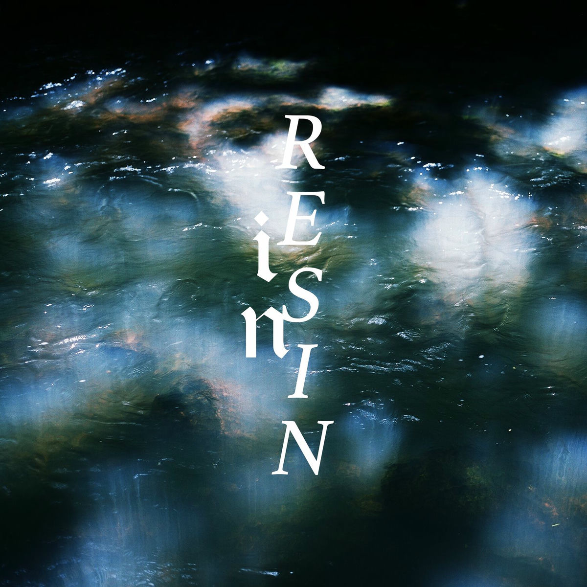 Album cover of In Resin