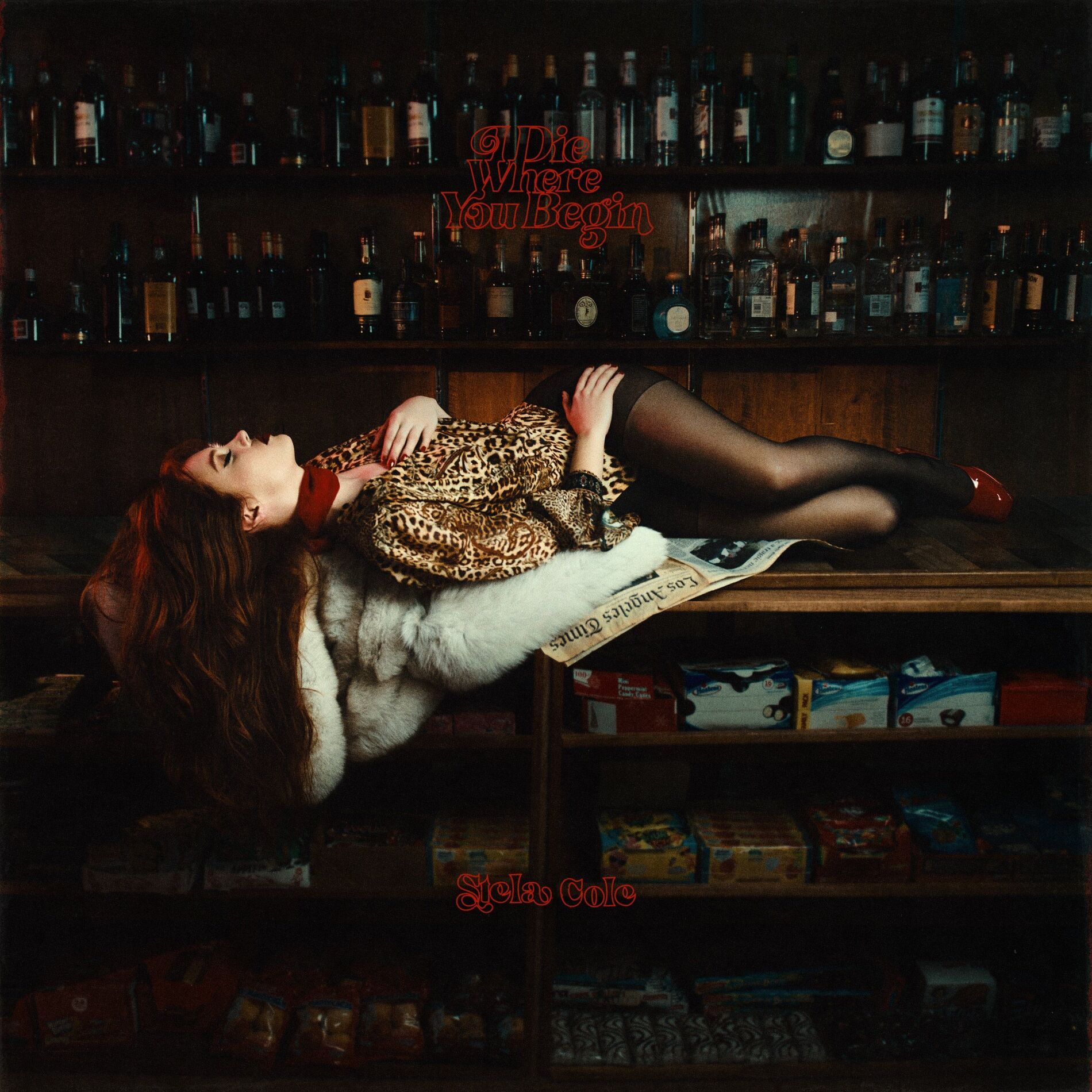 Album cover of I Die Where You Begin