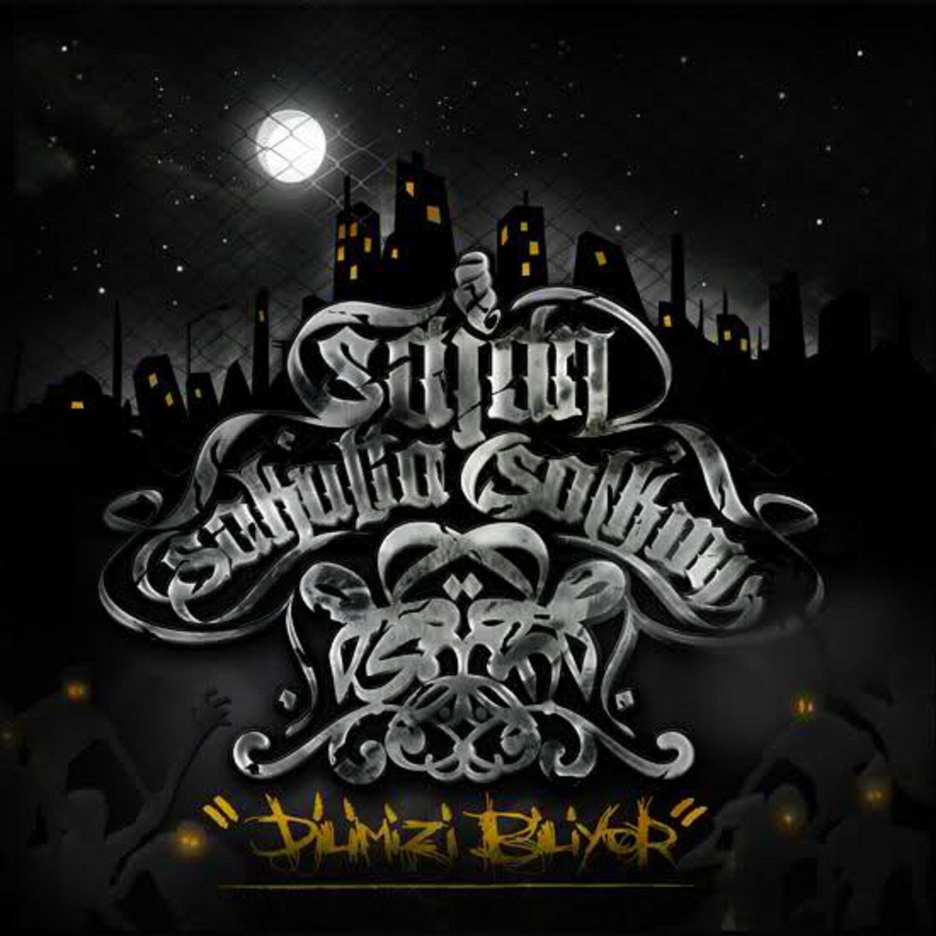 Album cover of Dilimizi Biliyor