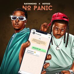 Cover of No Panic