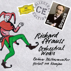 Cover of Strauss, R.: Orchestral Works