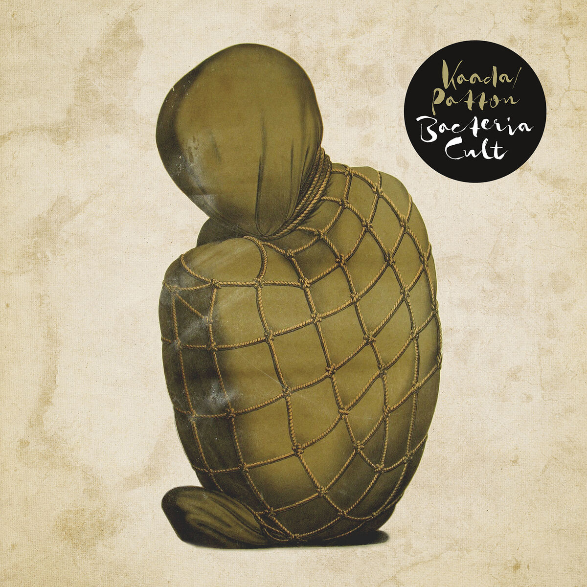 Album cover of Bacteria Cult