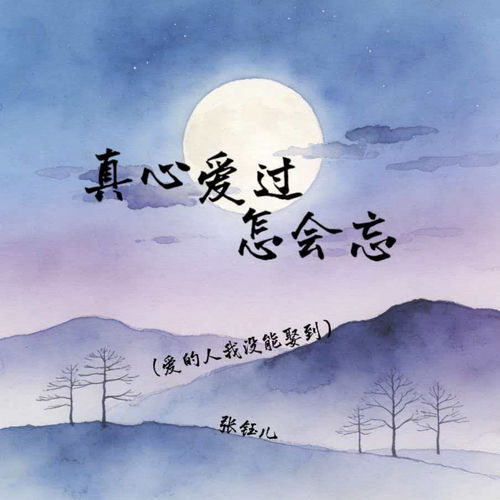 真心爱过怎会忘 (爱的人我没能娶到)