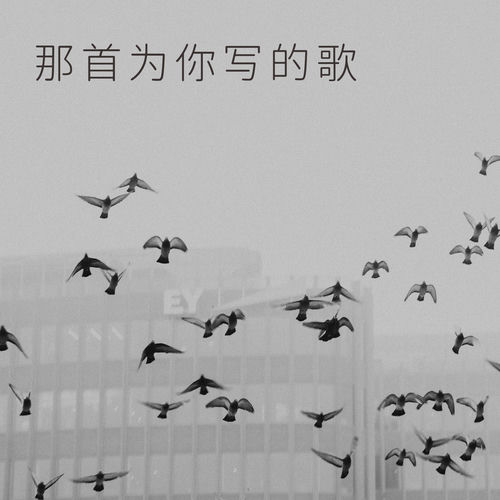 那首为你写的歌