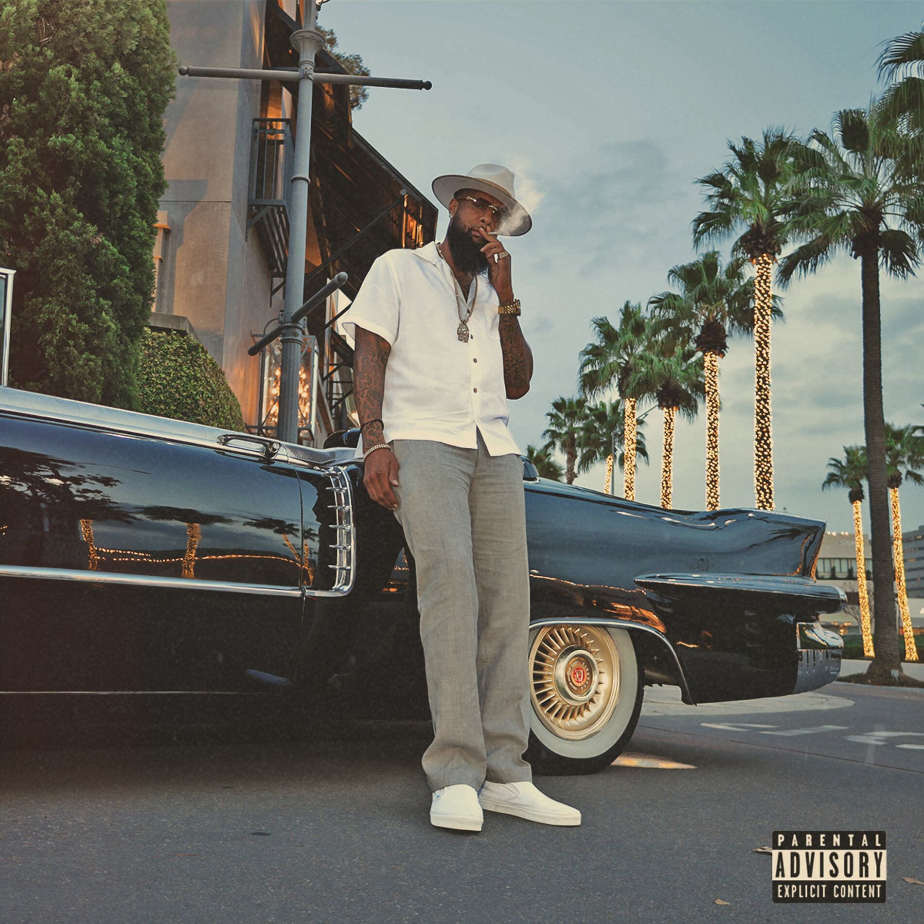 Album cover of SDS Vibes