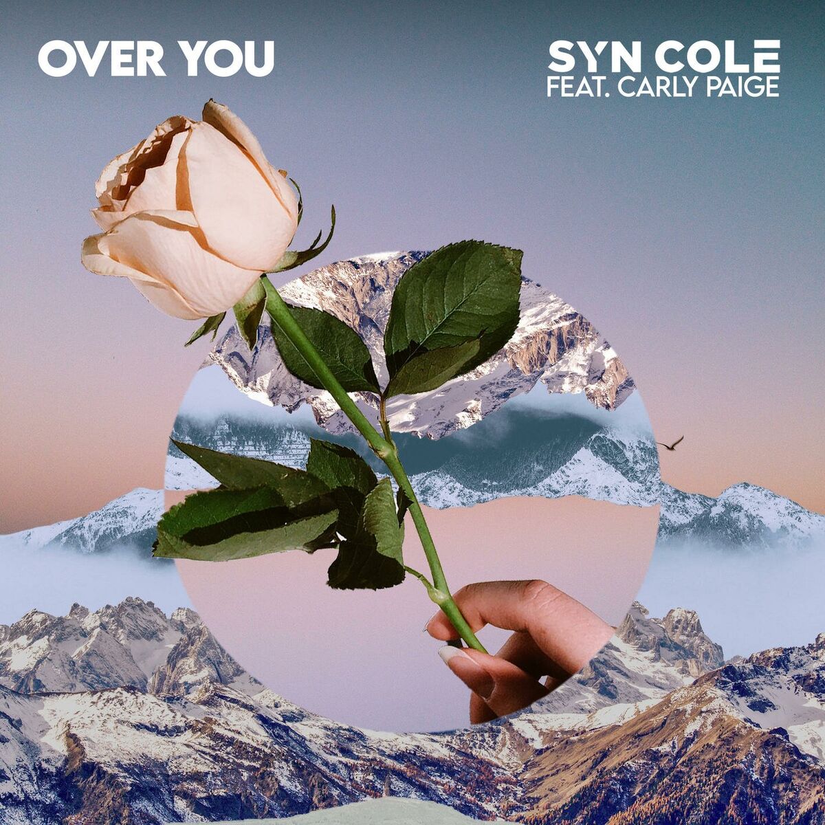 Album cover of Over You (feat. Carly Paige)