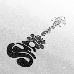 Cover of Shake My Mind