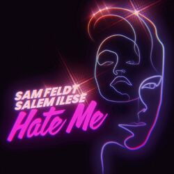 Cover of Hate Me