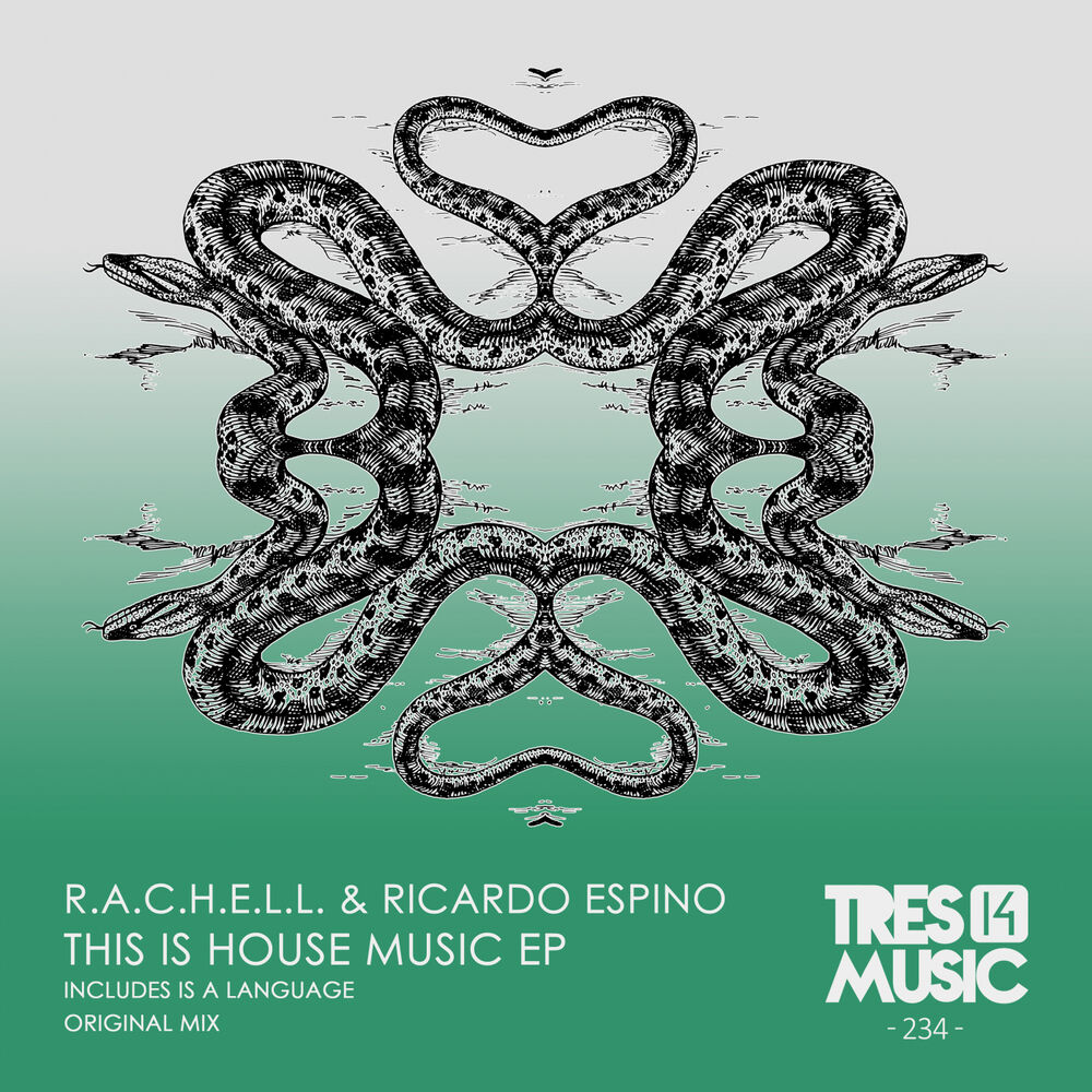 Picture of THIS IS HOUSE MUSIC EP
