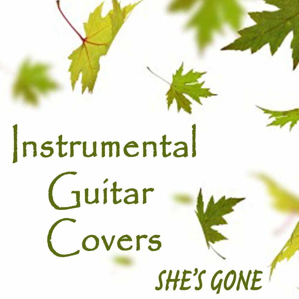 Picture of Instrumental Guitar Covers - She's Gone