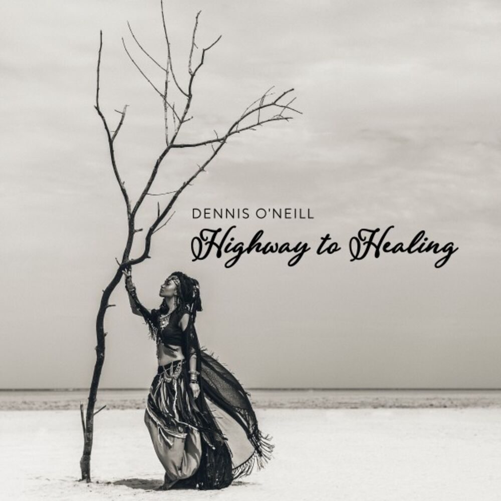 Picture of Highway to Healing