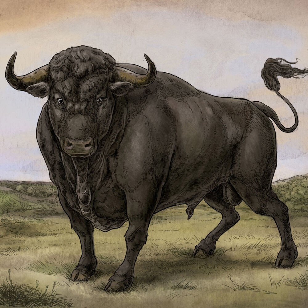 Picture of San Fermin
