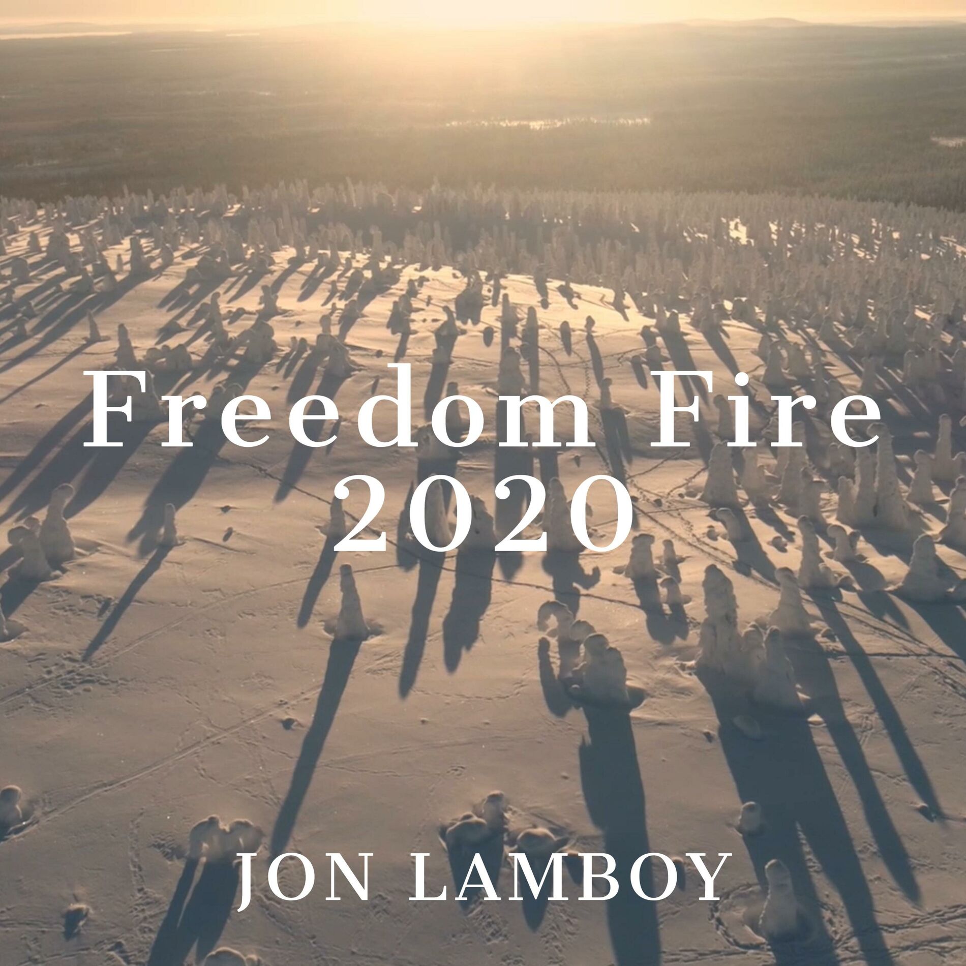Album cover of Freedom Fire 2020