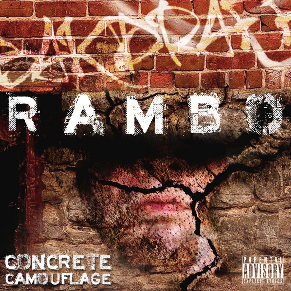 Picture of Concrete Camouflage