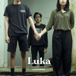 Cover of Luka