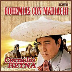 Cover of Bohemias Con Mariachi