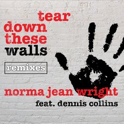 Tear Down These Walls (Remixes)