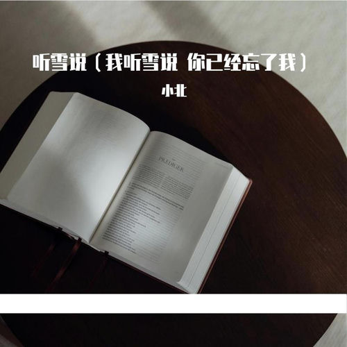 听雪说（我听雪说 你已经忘了我）