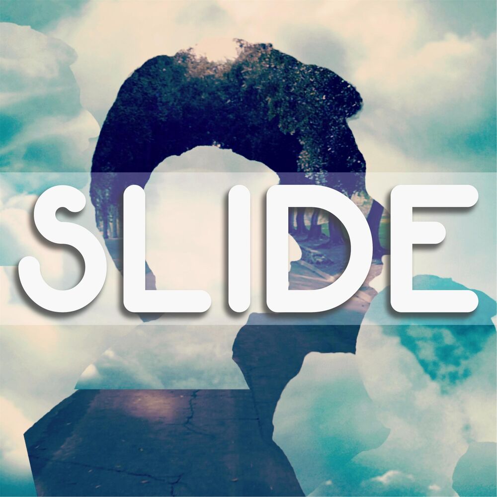 Picture of Slide