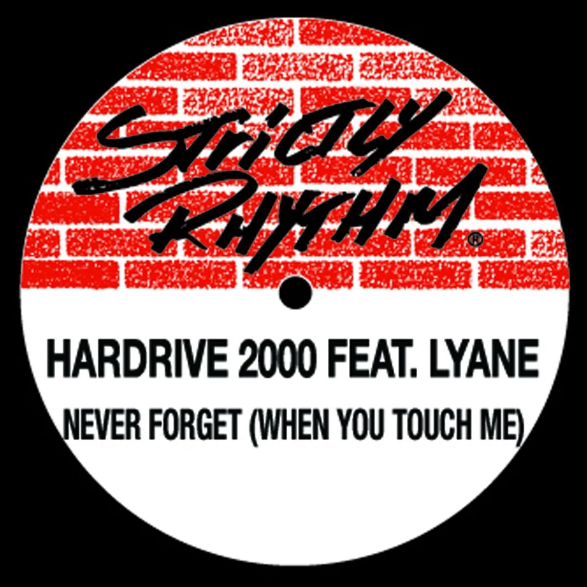 Album cover of Never Forget (When You Touch Me) [feat. Lynae]