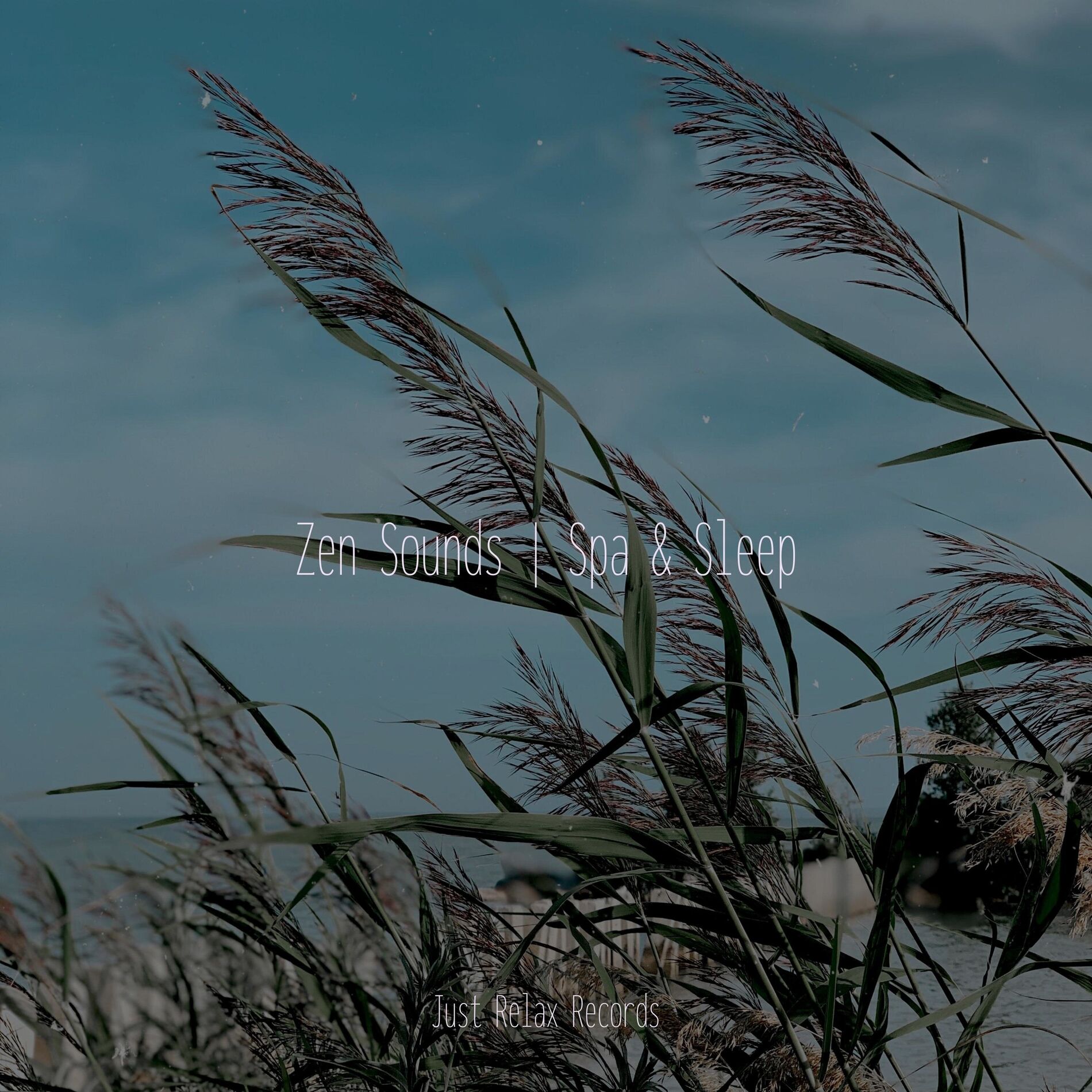 Album cover of Zen Sounds | Spa & Sleep