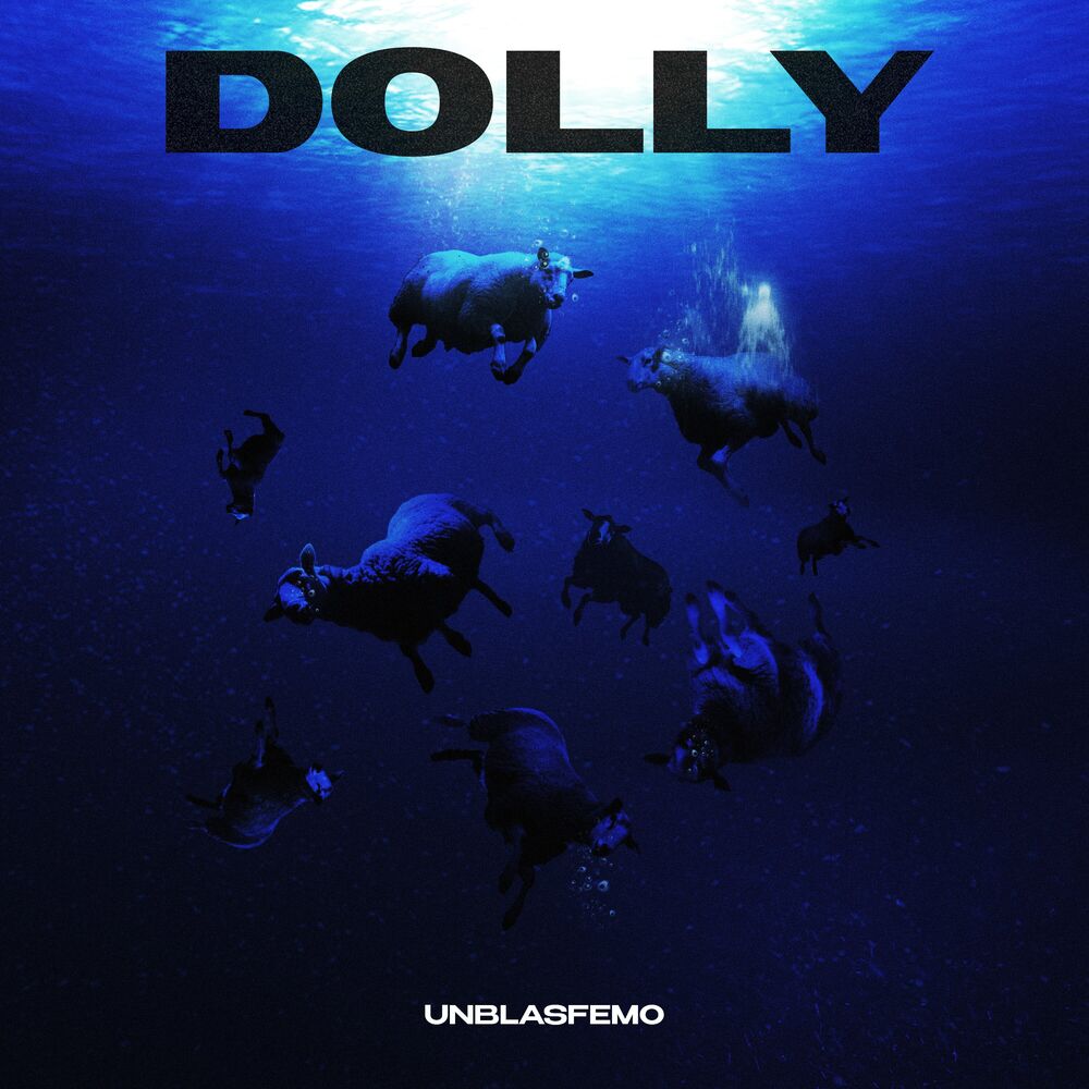 Picture of Dolly