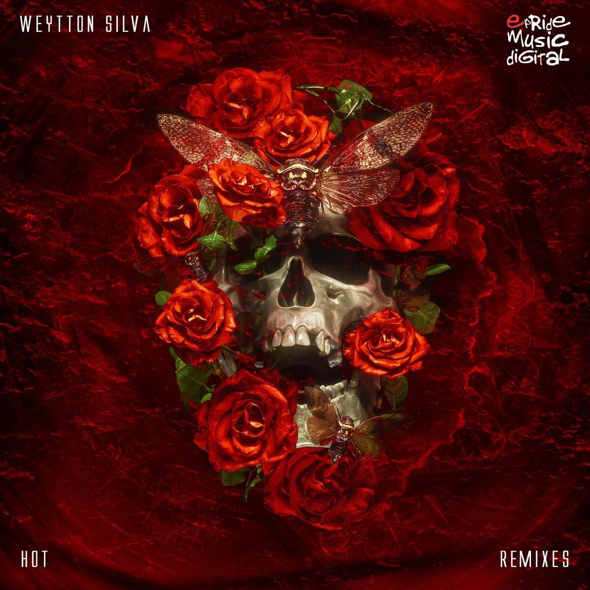 Album cover of Hot (The Remixes)