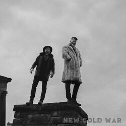 Cover of New Cold War
