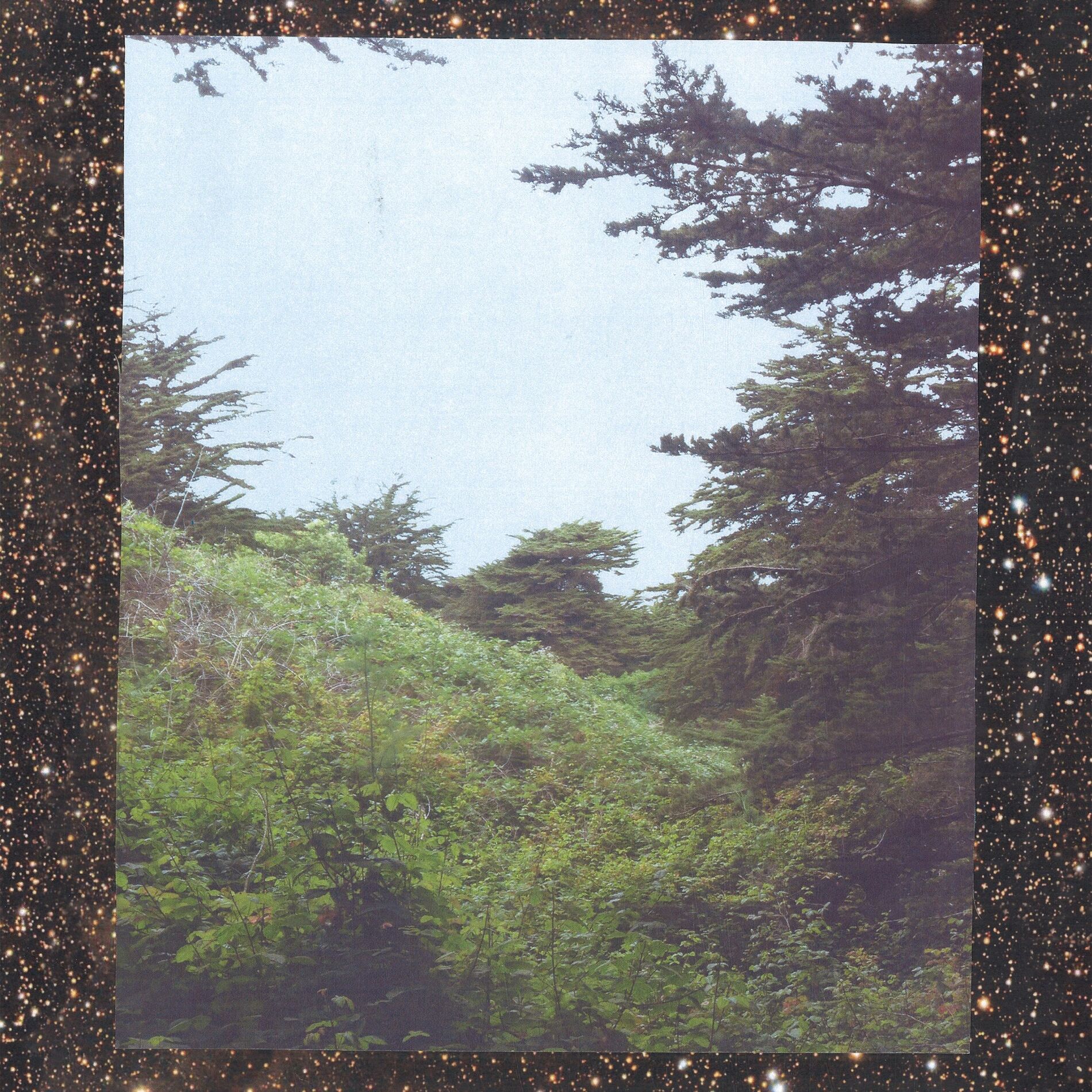 Album cover of Life