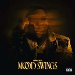 Cover of Mood Swings