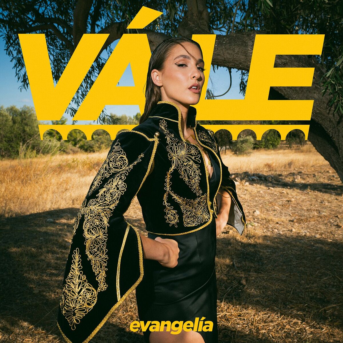 Album cover of Vále