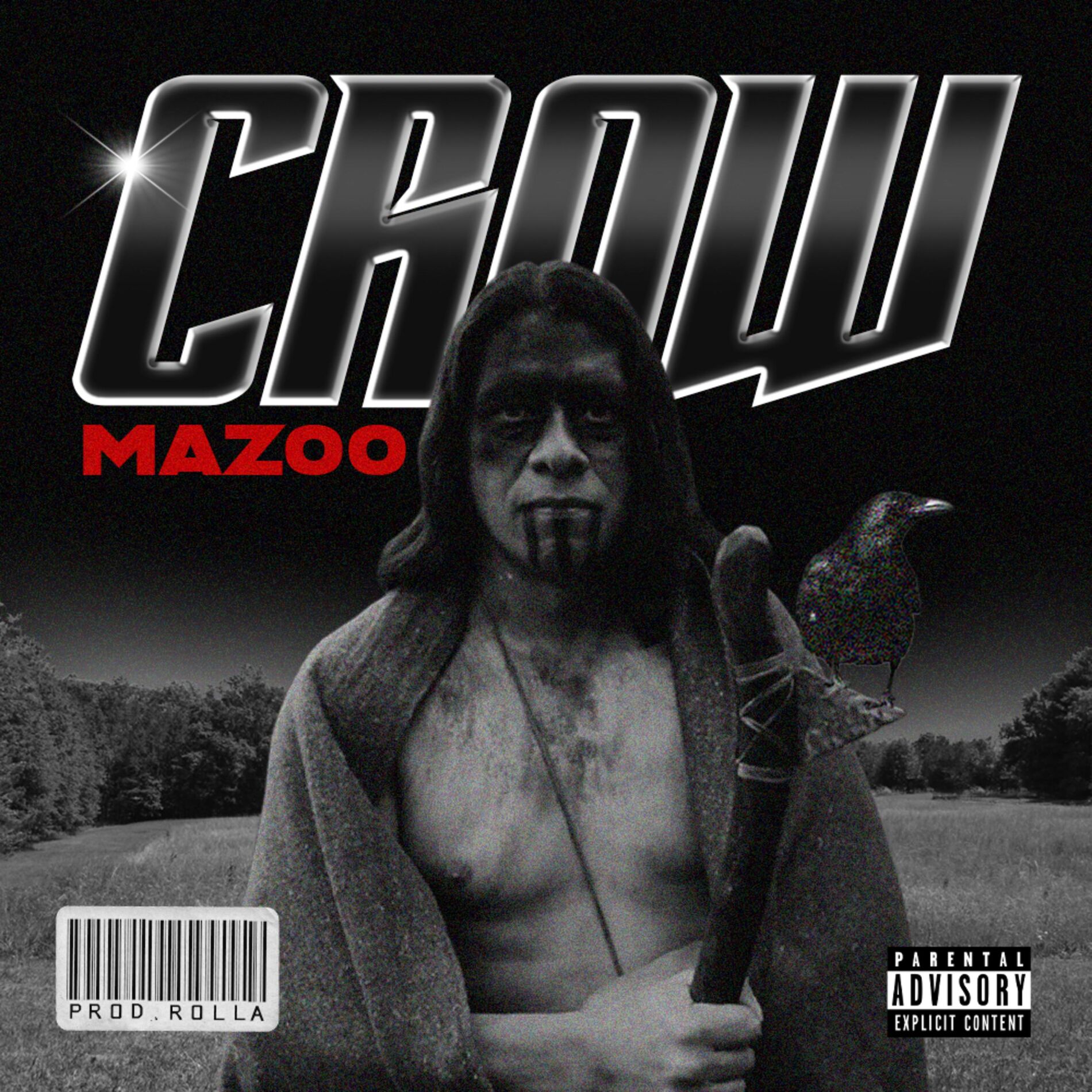 Album cover of Crow