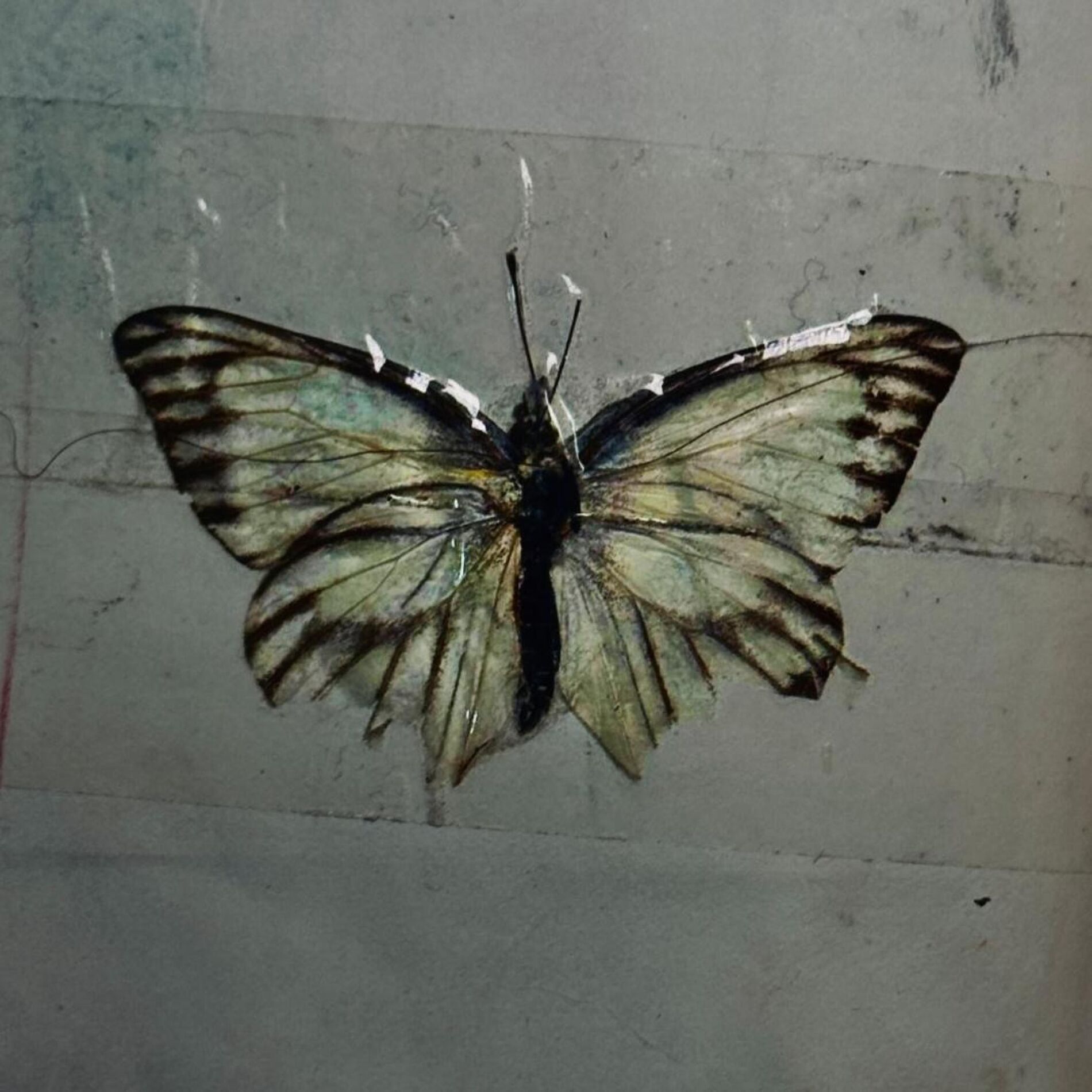 Album cover of Entropy