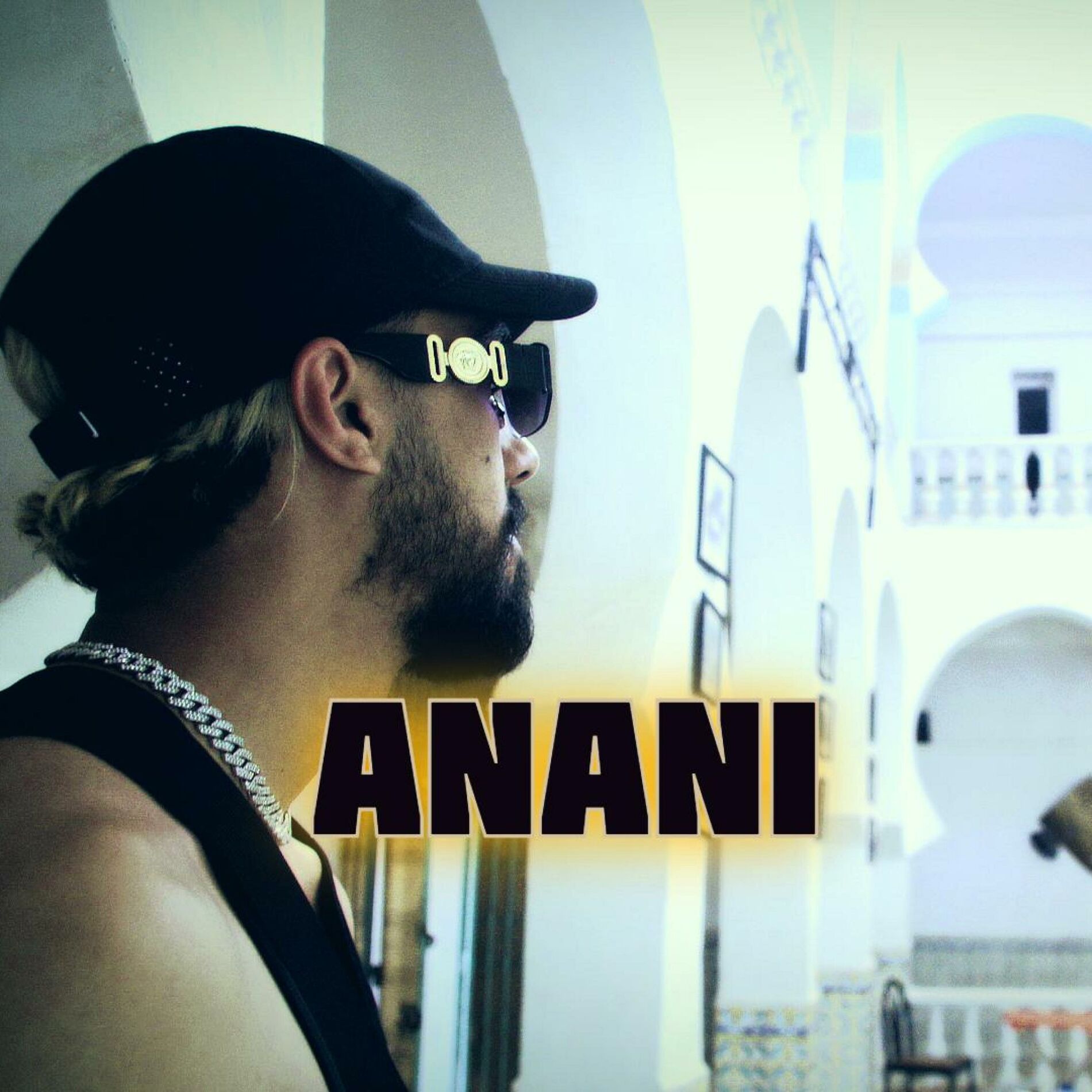 Album cover of ANANI أناني (feat. AbdbtZ)