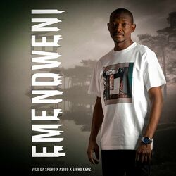 Cover of Emendweni