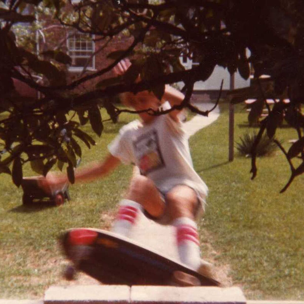 Album cover of Wavvves