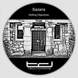 Cover of Shifting Objectives