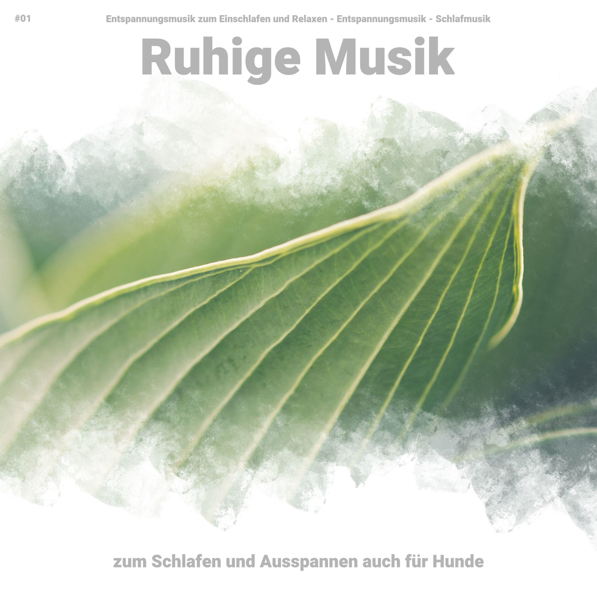 Album cover of #01 Ruhige Musik zum Schlafen und Ausspannen auch für Hunde