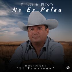 Cover of Puño Y Puño No Es Pelea