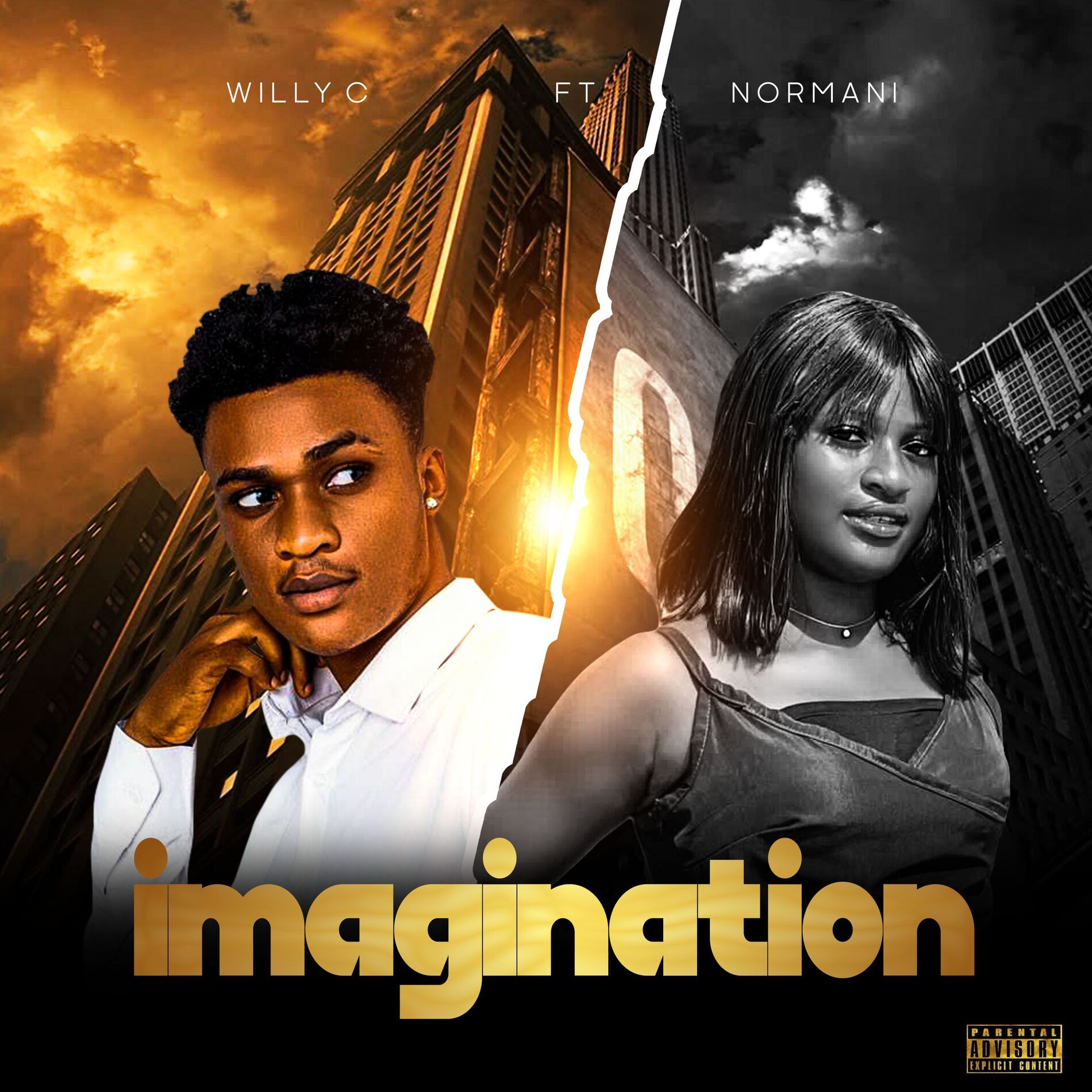 Album cover of Imagination