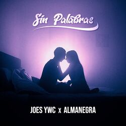 Cover of Sin Palabras