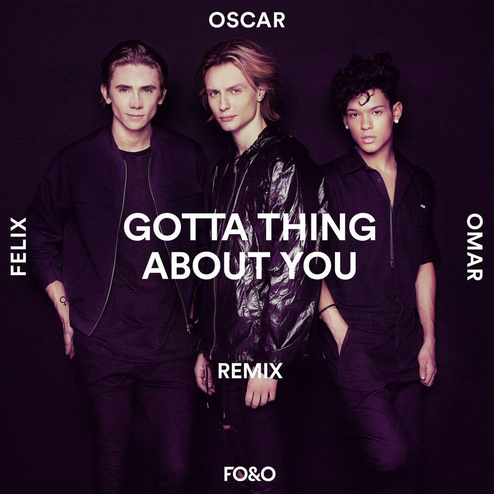 Picture of Gotta Thing About You (Remix)
