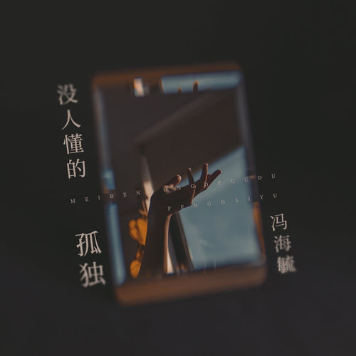 没人懂的孤独 (DJ版)