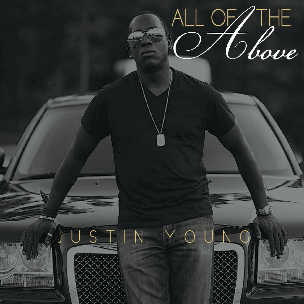 Album cover of All of the Above