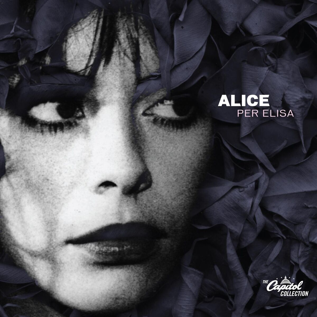 Album cover of The Capitol Collection: Per Elisa